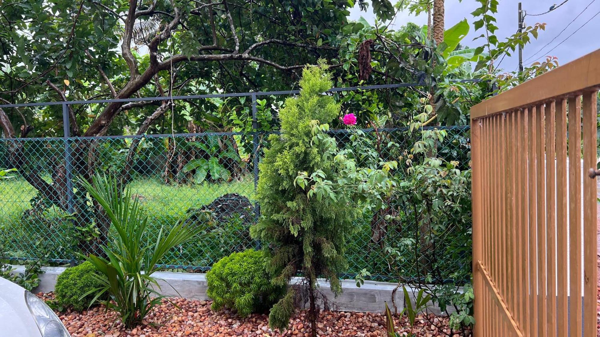 Beautiful Village House With All Facilities. Alappuzha Εξωτερικό φωτογραφία